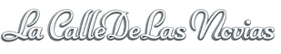 Logotipo de La Calle De Las Novias en caligrafía elegante y plateada