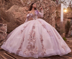 Vestido de XV años rosa pálido con encaje y apliques, ideal para fiestas especiales y bodas