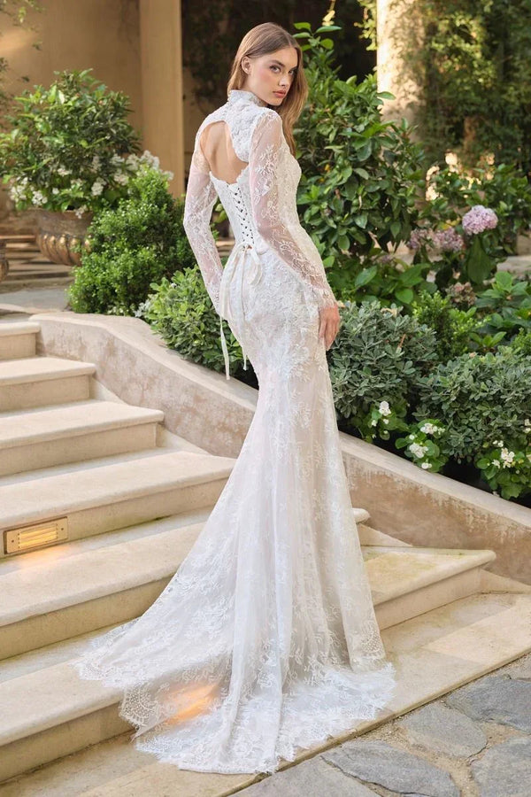 Cinderella Divine Bride | WL071