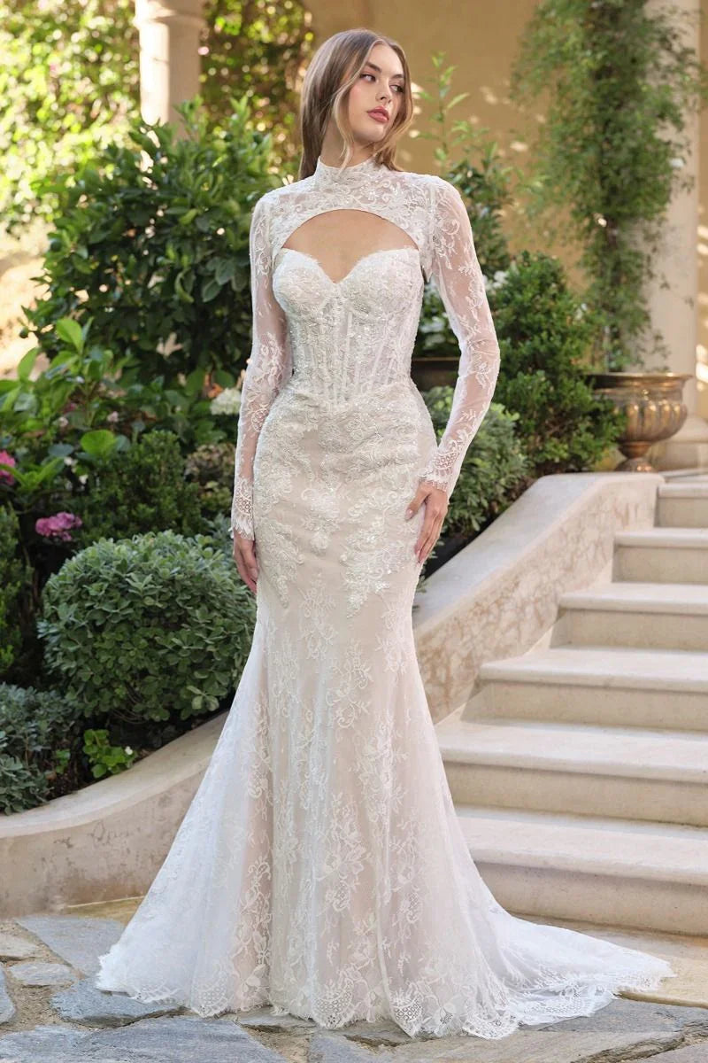 Vestido de novia elegante de encaje con mangas largas y escote ilusión en jardín