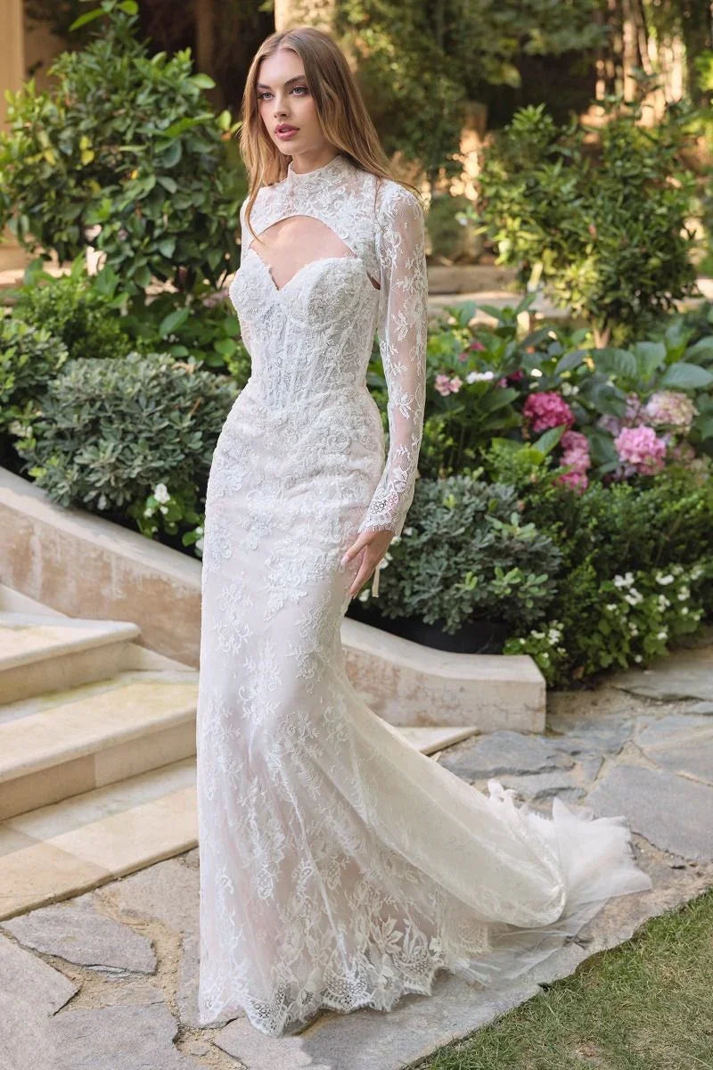 Vestido de novia largo de encaje con mangas largas y transparencia, modelo en jardín elegante.