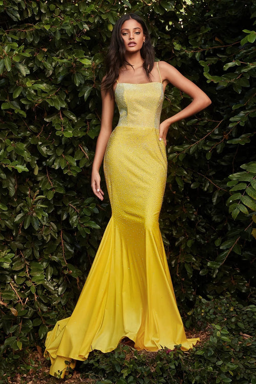 Mujer con vestido largo amarillo elegante de gala, detalles brillantes, fondo de naturaleza.