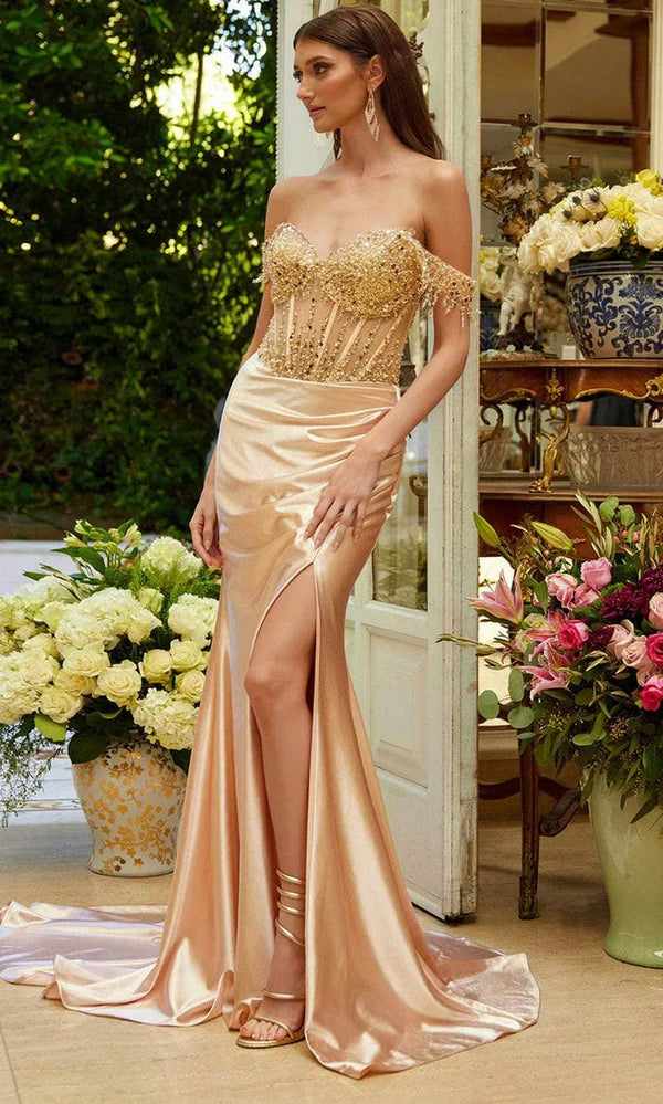 Long Party Dress with Sheer Corset - Elizabeth K GL3618