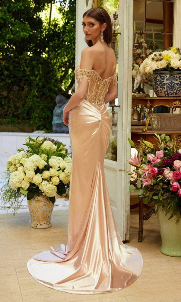 Long Party Dress with Sheer Corset - Elizabeth K GL3618