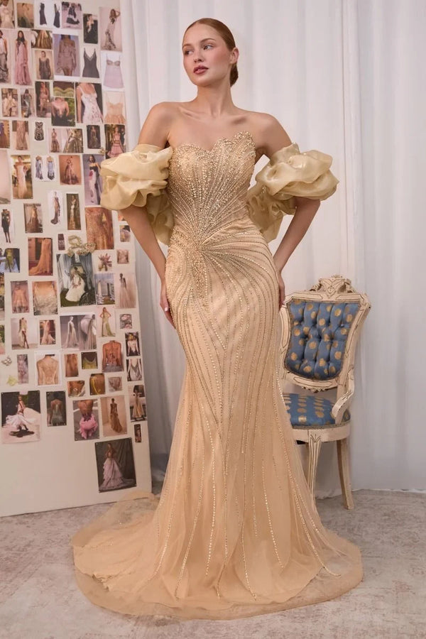 Beaded Party Dress with Ruffled Organza Stole - Andre & Leo A1519