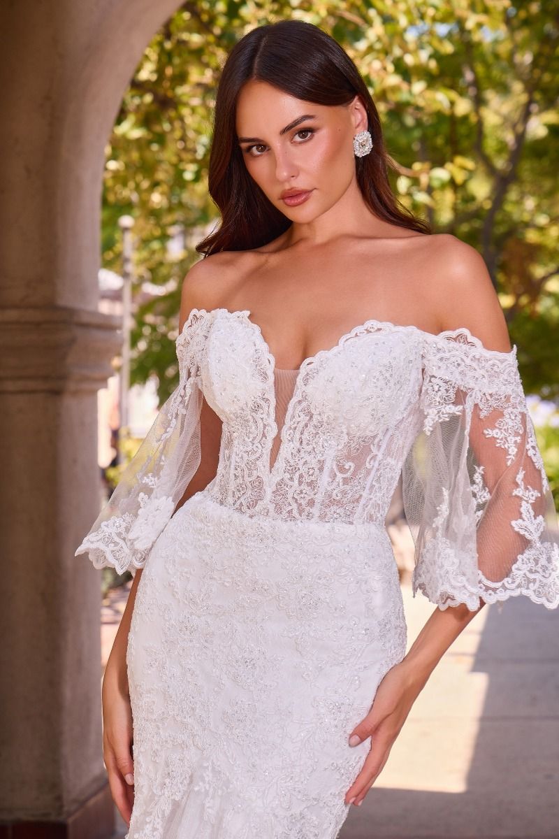 Vestido de Novia Corte Sirena con Encaje y Corsé Transparente - CD659W Ladivine