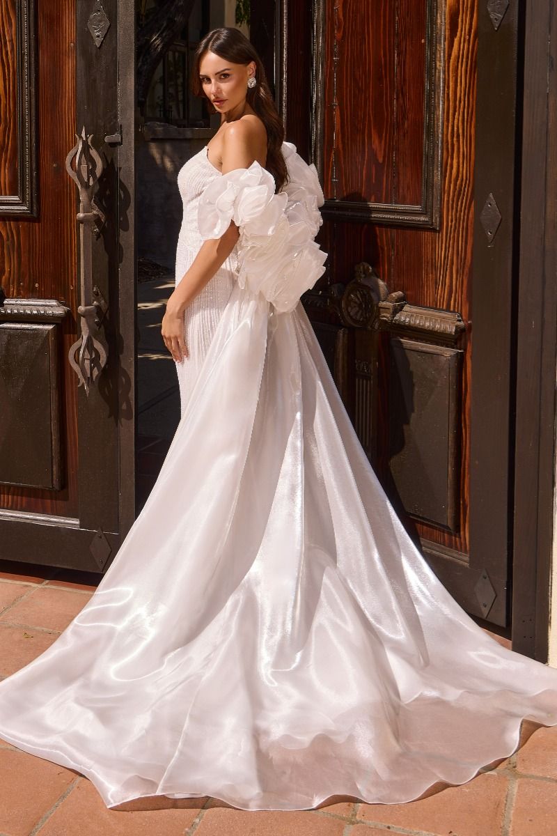 Vestido de Novia Corte Sirena 2 en 1 con Sobrefalda - Ladivine Bridal CJ933W