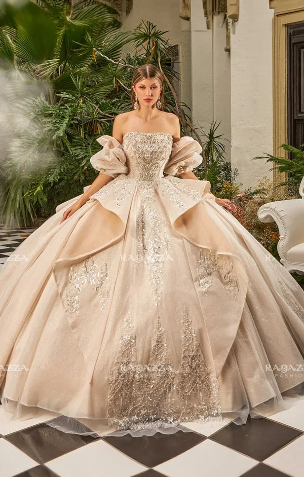 Ragazza Fashion Quinceañera Dress EV56-656