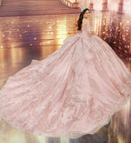 Vestido de Quinceañera con Efecto Hielo y Cola Extralarga - Princesa by Ariana Vara PR30251